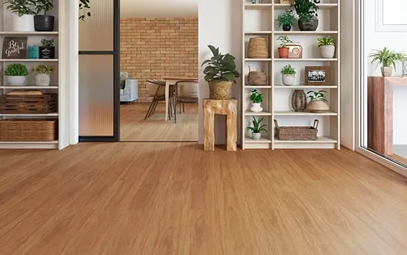 Cumaru Raiz